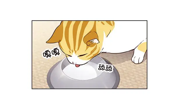 漫画《觉醒吧，铲屎官！》第1话第97张图