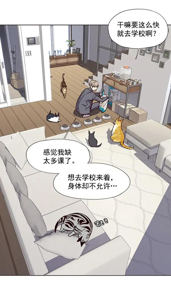 漫画《觉醒吧，铲屎官！》第37话第36张图