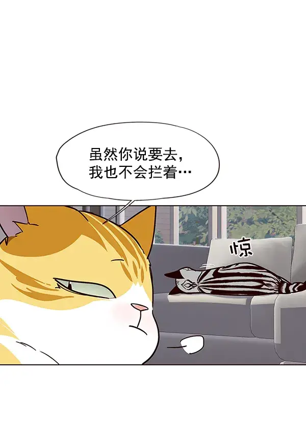 漫画《觉醒吧，铲屎官！》第37话第37张图