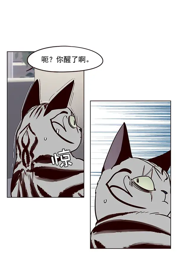 漫画《觉醒吧，铲屎官！》第37话第39张图