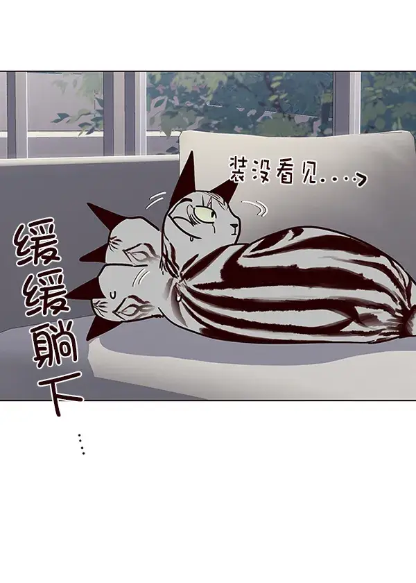 漫画《觉醒吧，铲屎官！》第37话第42张图