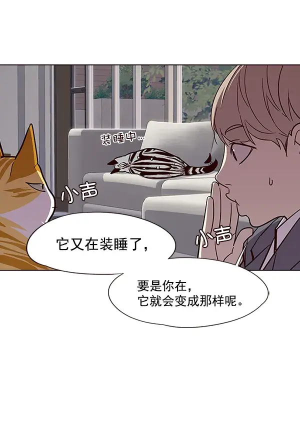 漫画《觉醒吧，铲屎官！》第37话第43张图