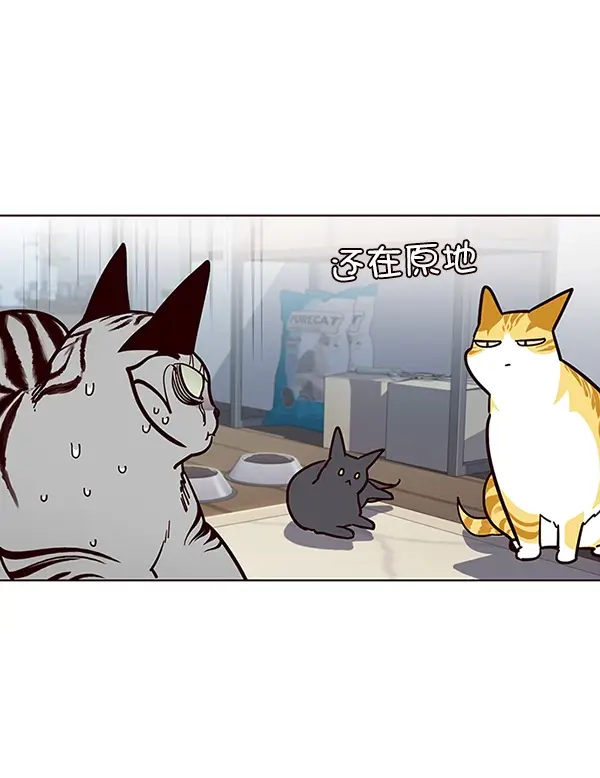 漫画《觉醒吧，铲屎官！》第37话第49张图