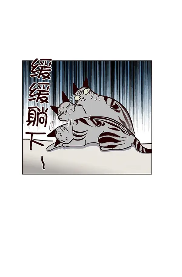漫画《觉醒吧，铲屎官！》第37话第50张图
