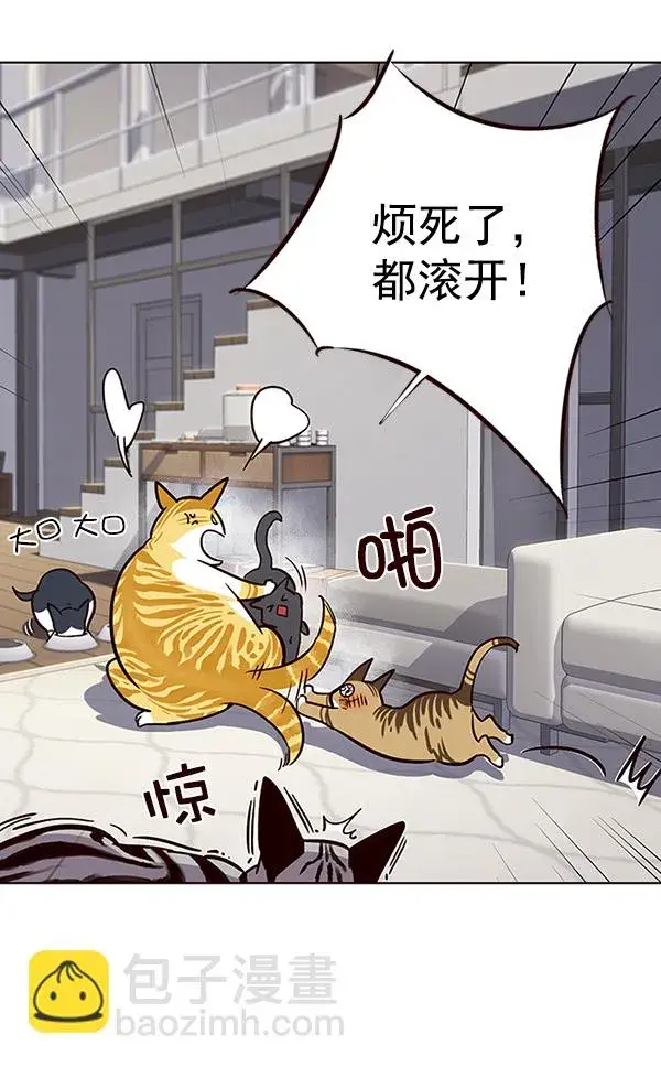漫画《觉醒吧，铲屎官！》第37话第60张图