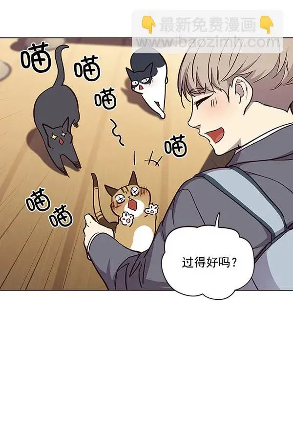 漫画《觉醒吧，铲屎官！》第38话第25张图