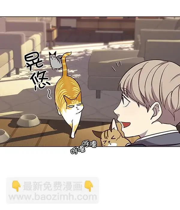 漫画《觉醒吧，铲屎官！》第38话第26张图