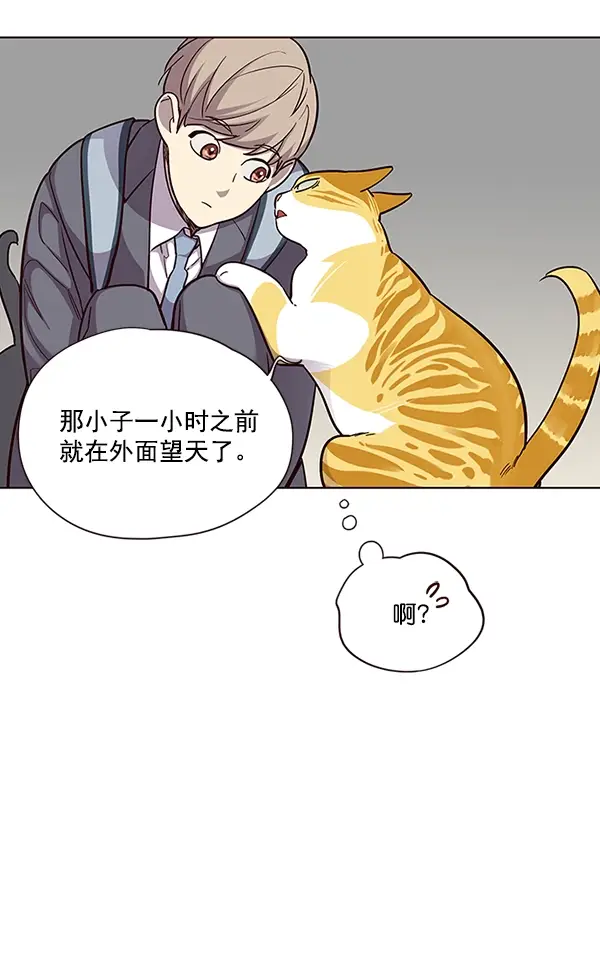 漫画《觉醒吧，铲屎官！》第38话第28张图