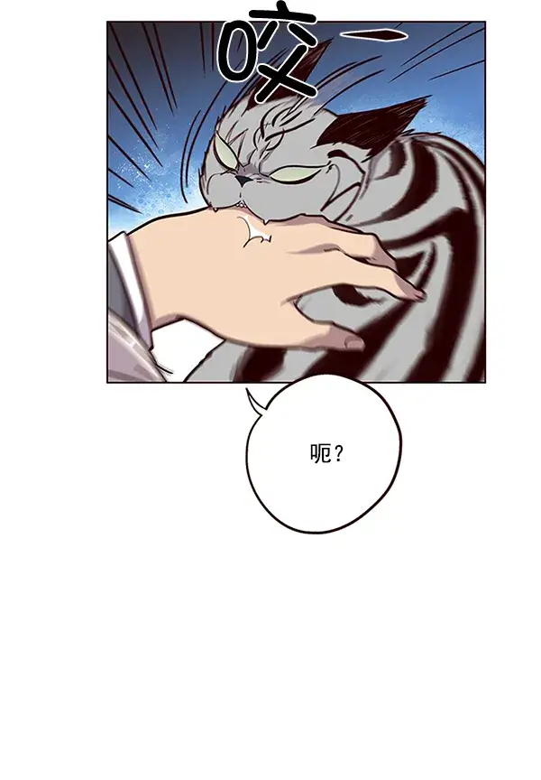 漫画《觉醒吧，铲屎官！》第38话第52张图