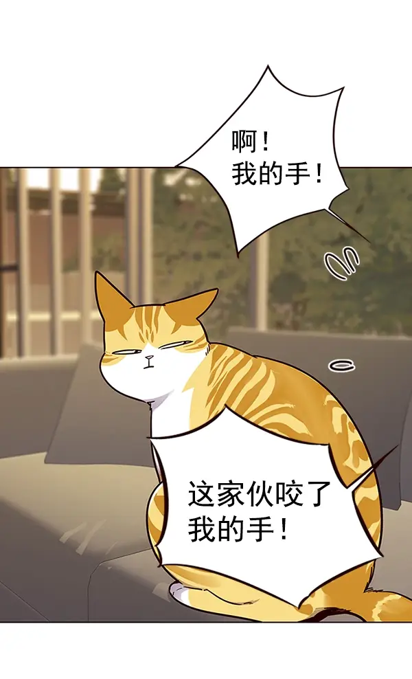 漫画《觉醒吧，铲屎官！》第38话第54张图
