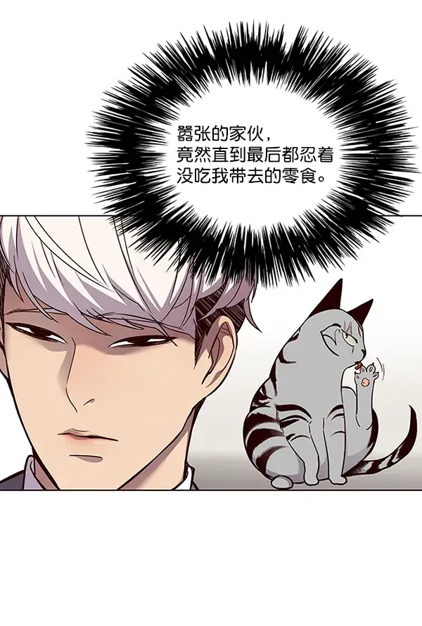 漫画《觉醒吧，铲屎官！》第39话第13张图
