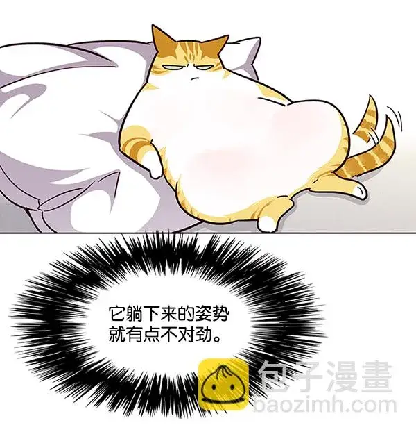 漫画《觉醒吧，铲屎官！》第39话第16张图