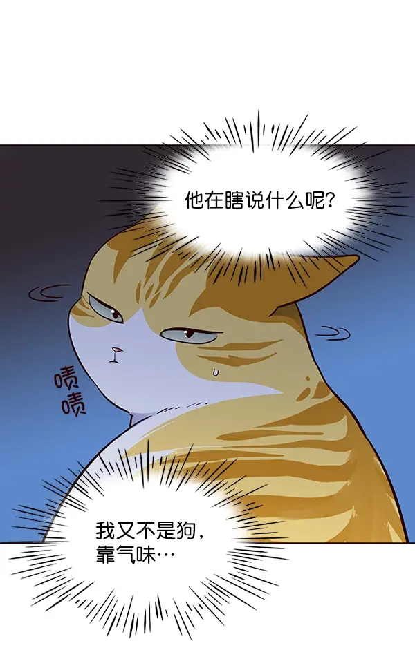 漫画《觉醒吧，铲屎官！》第41话第61张图