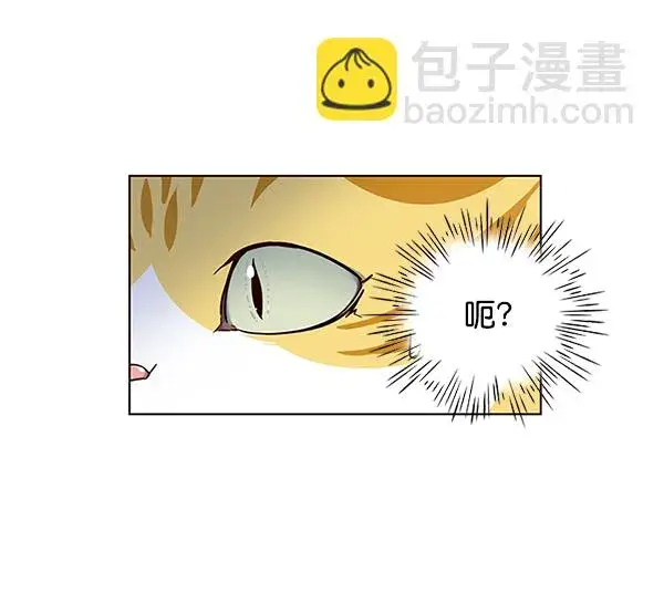 漫画《觉醒吧，铲屎官！》第41话第62张图