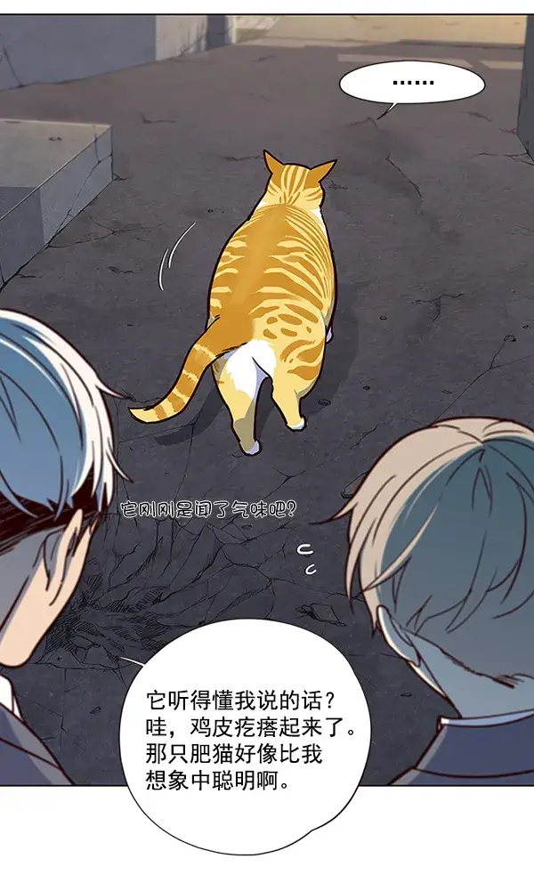 漫画《觉醒吧，铲屎官！》第41话第65张图