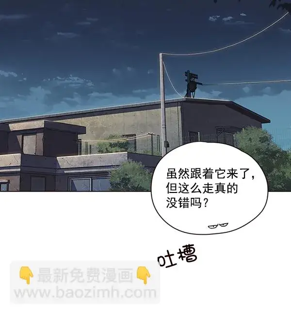 漫画《觉醒吧，铲屎官！》第41话第89张图