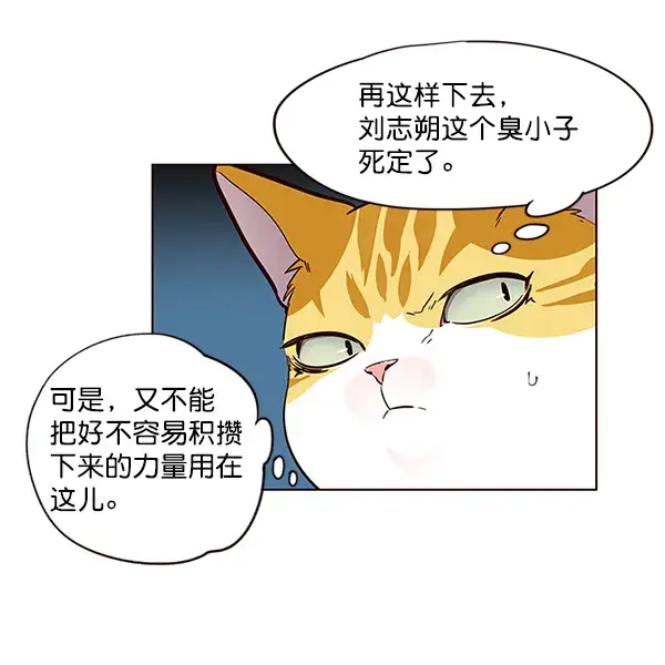漫画《觉醒吧，铲屎官！》第43话第75张图