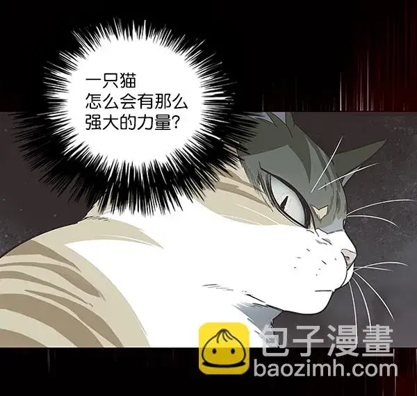 漫画《觉醒吧，铲屎官！》第46话第46张图