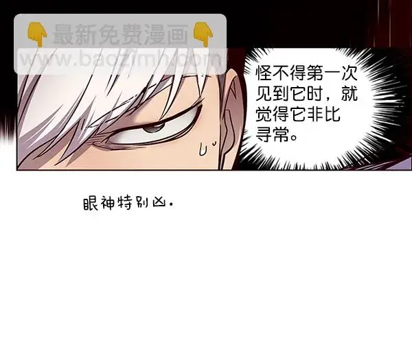 漫画《觉醒吧，铲屎官！》第46话第47张图