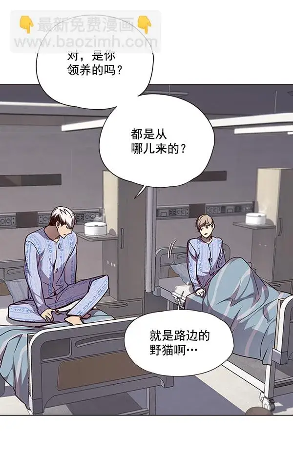 漫画《觉醒吧，铲屎官！》第46话第51张图