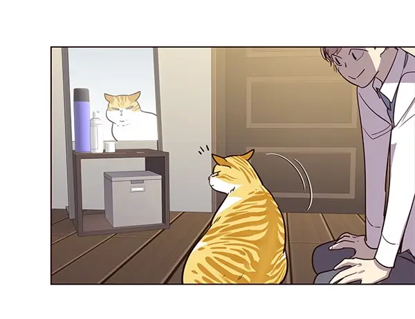 漫画《觉醒吧，铲屎官！》第2话第12张图