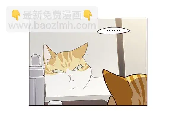 漫画《觉醒吧，铲屎官！》第2话第13张图