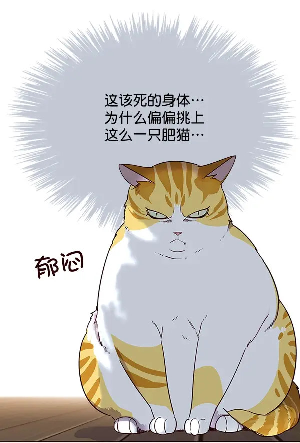 漫画《觉醒吧，铲屎官！》第2话第14张图