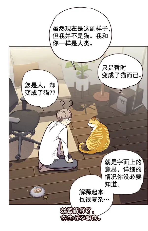 漫画《觉醒吧，铲屎官！》第2话第18张图