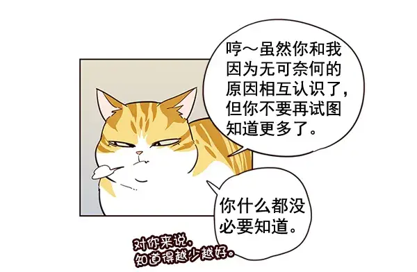 漫画《觉醒吧，铲屎官！》第2话第24张图