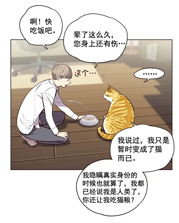 漫画《觉醒吧，铲屎官！》第2话第28张图