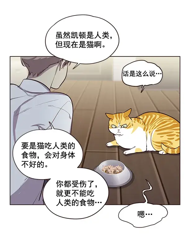 漫画《觉醒吧，铲屎官！》第2话第29张图