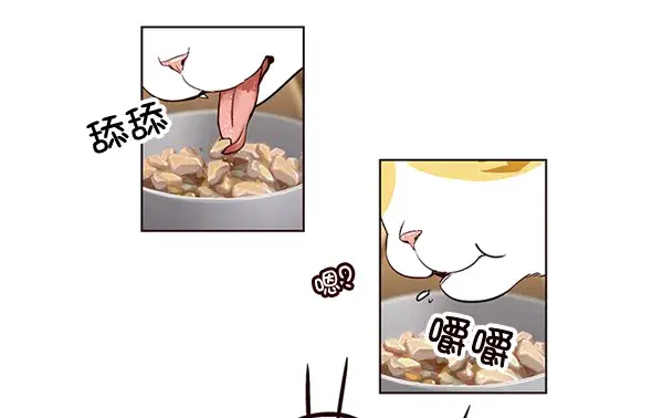 漫画《觉醒吧，铲屎官！》第2话第36张图