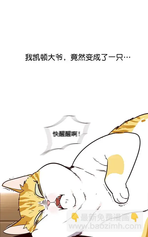 漫画《觉醒吧，铲屎官！》第2话第4张图