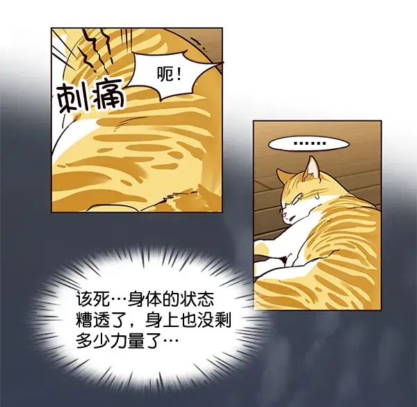 漫画《觉醒吧，铲屎官！》第2话第40张图