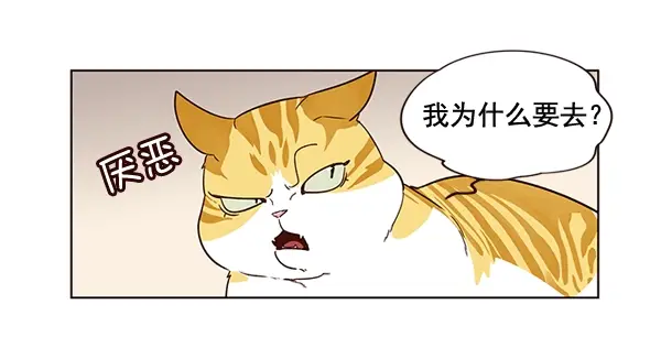 漫画《觉醒吧，铲屎官！》第2话第47张图