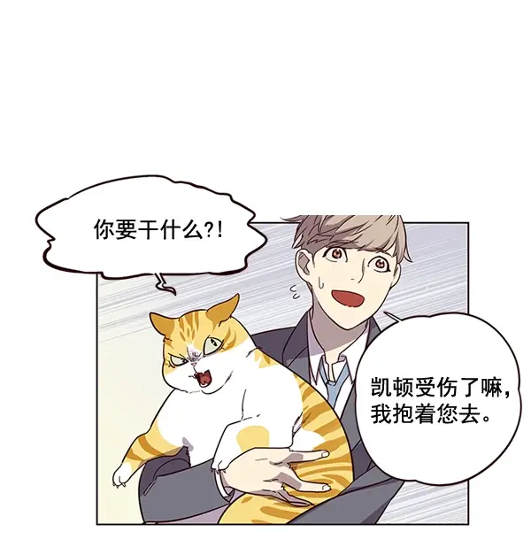 漫画《觉醒吧，铲屎官！》第2话第51张图