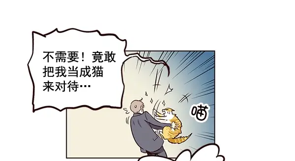 漫画《觉醒吧，铲屎官！》第2话第52张图