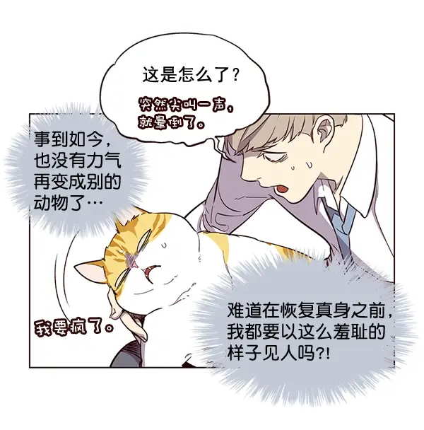 漫画《觉醒吧，铲屎官！》第2话第6张图