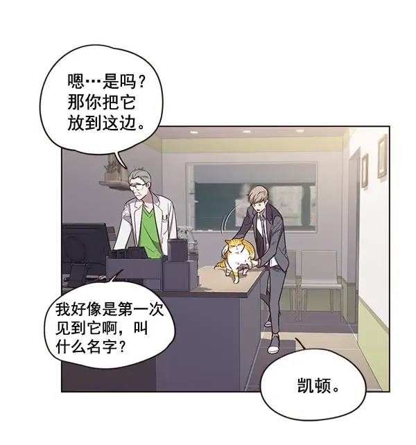 漫画《觉醒吧，铲屎官！》第2话第65张图