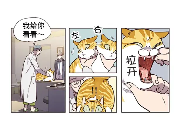 漫画《觉醒吧，铲屎官！》第2话第67张图
