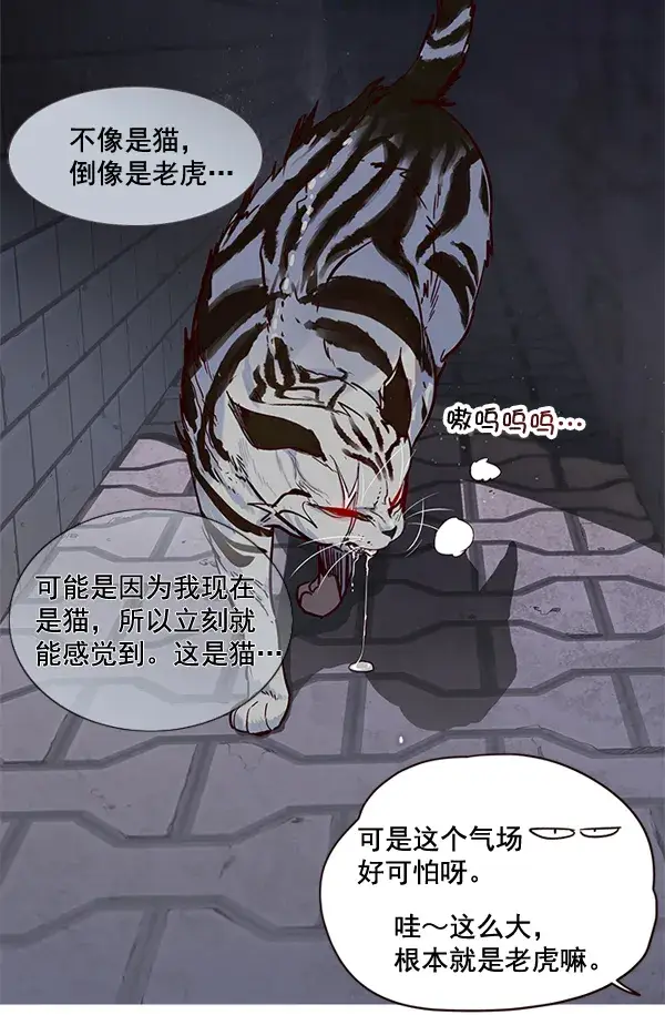 漫画《觉醒吧，铲屎官！》第2话第83张图