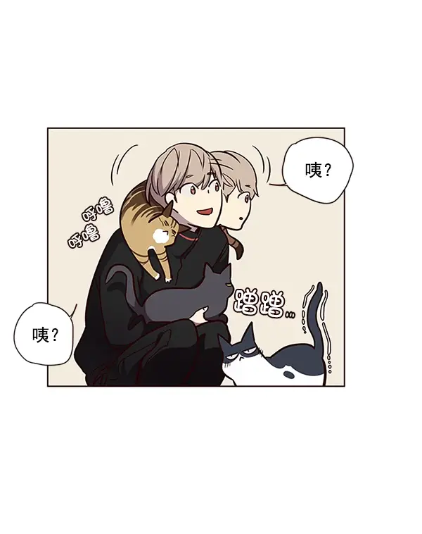 漫画《觉醒吧，铲屎官！》第47话第30张图