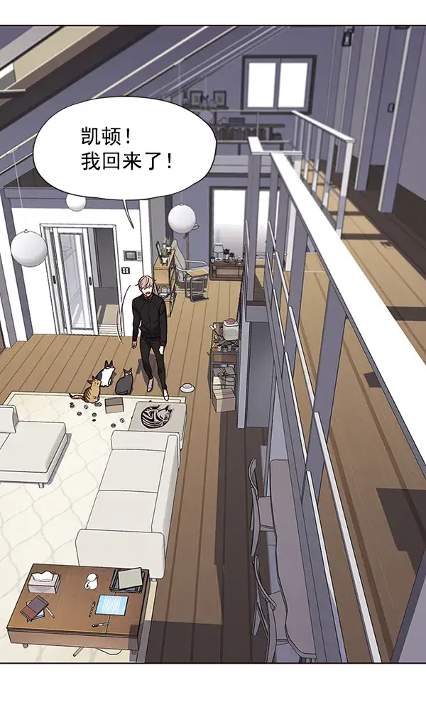 漫画《觉醒吧，铲屎官！》第47话第33张图