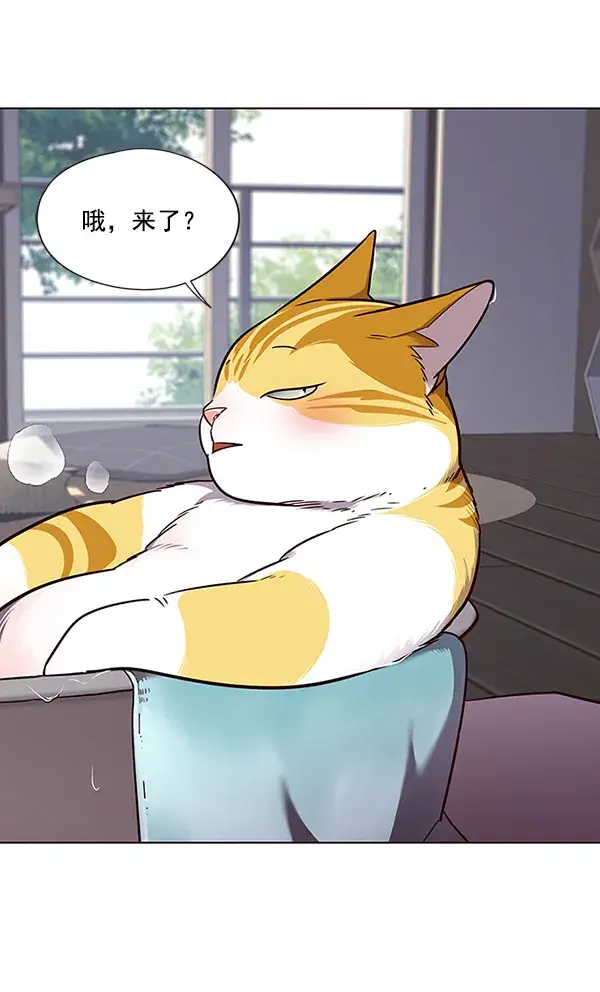漫画《觉醒吧，铲屎官！》第47话第39张图