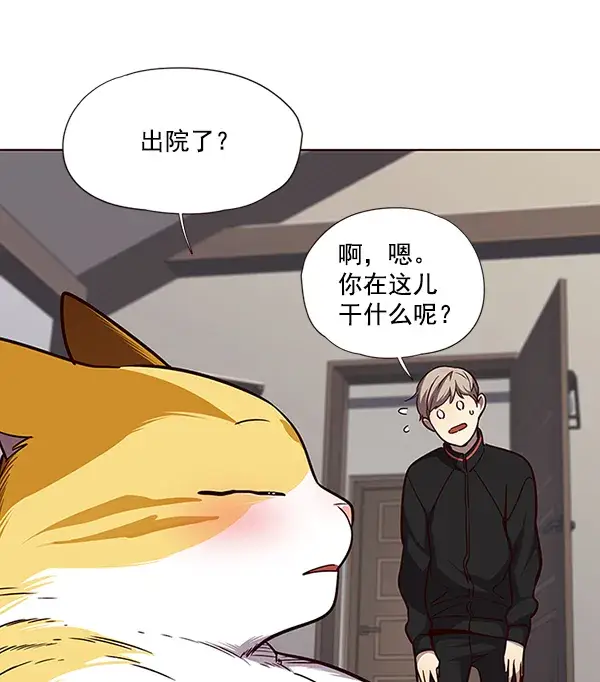 漫画《觉醒吧，铲屎官！》第47话第41张图