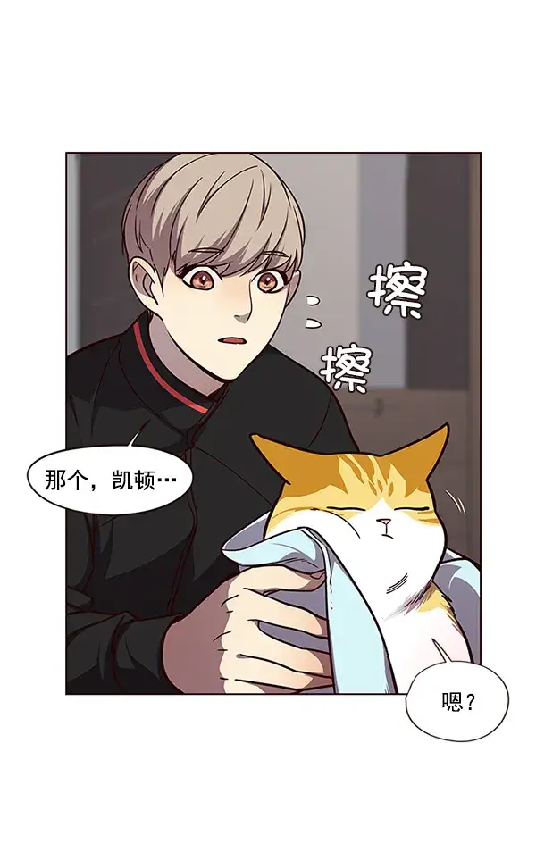 漫画《觉醒吧，铲屎官！》第47话第48张图