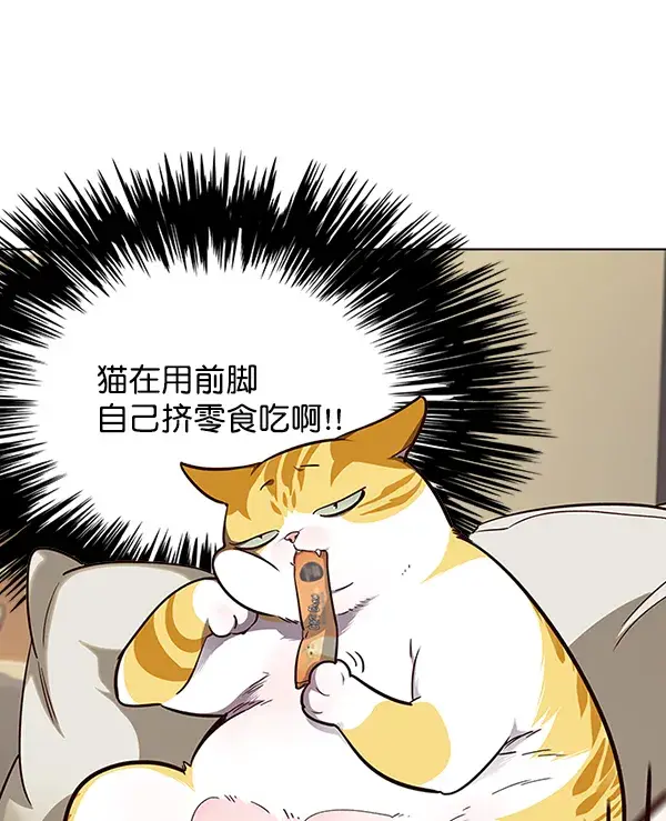 漫画《觉醒吧，铲屎官！》第50话第10张图