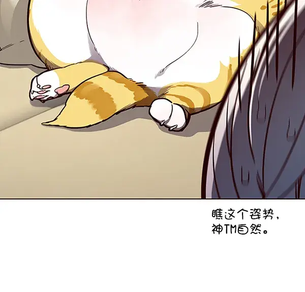 漫画《觉醒吧，铲屎官！》第50话第11张图