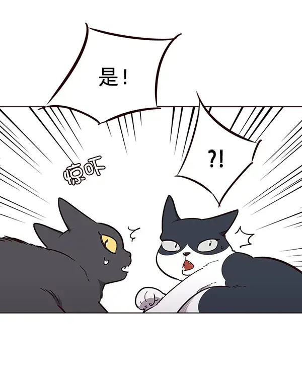 漫画《觉醒吧，铲屎官！》第50话第24张图