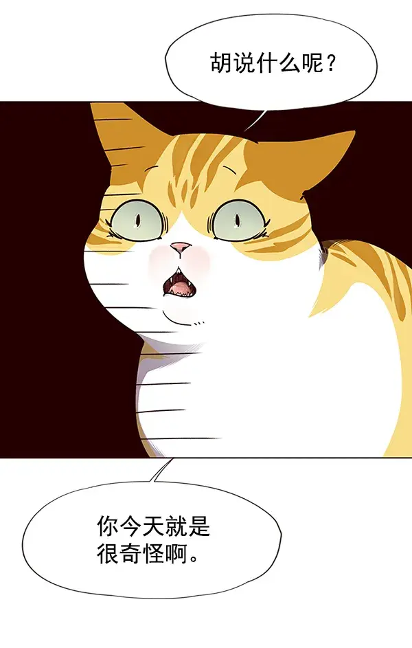 漫画《觉醒吧，铲屎官！》第50话第36张图